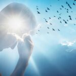 Borderline – między skrajnościami. Czym jest i jak rozumie je psychodynamika